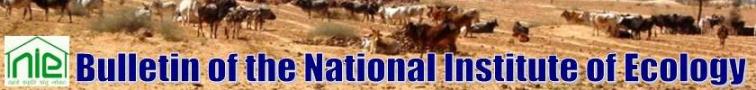 Page Header Logo